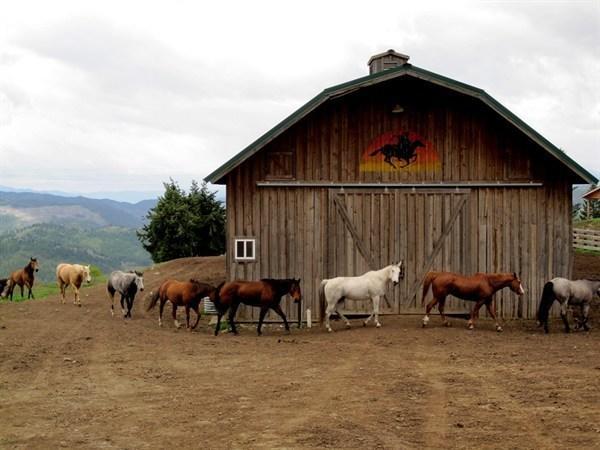 Bull Hill Guest Ranch Otel Marble Dış mekan fotoğraf